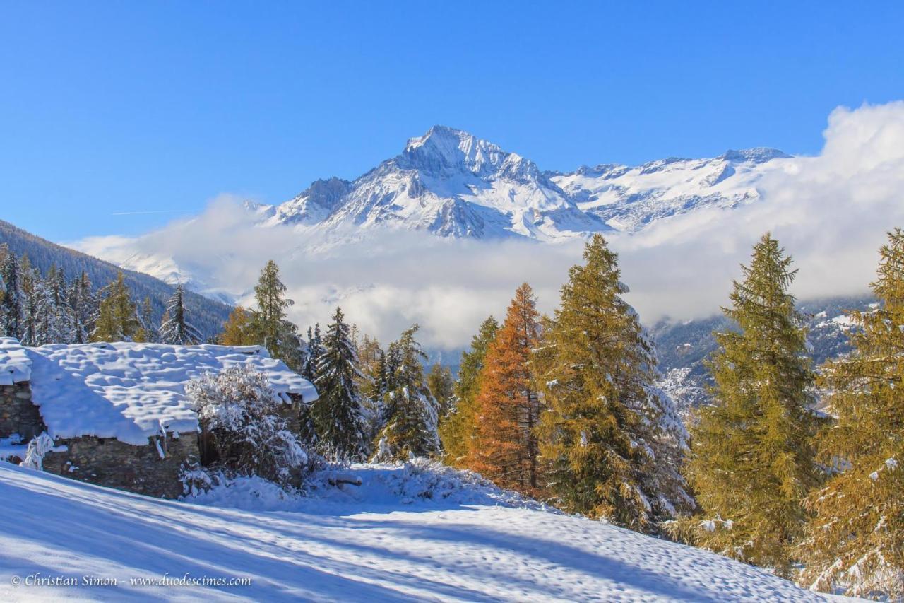 Les Balcons Proche Parc National Vanoise Appartements 2 Pieces 6 Pers Cabine Termignon Esterno foto